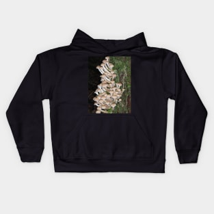 Lots of honey mushrooms (Armillaria sp.) Kids Hoodie